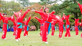 [4K] 綺羅人　いずもだんだん祭り 2023 東神苑会場 (中央)