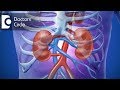 What are different kinds of Kidney Transplant & who cannot get it done? - Dr. Sankaran Sundar