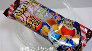 赤城乳業 ガリガリ君リッチ チョコチョコチョコチップ