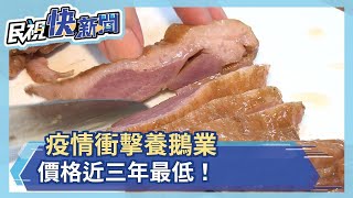 現在吃鵝肉正是時候！疫情衝擊養鵝業 價格近三年最低 鵝肉飯 燻鵝腿 鵝肉餛飩吃一波－民視新聞