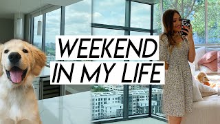 WEEKEND IN MY LIFE | touring apartments (!!), huge trader joes haul, getting my life together reset!