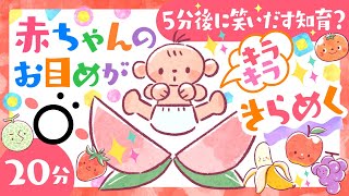 【赤ちゃんが泣きやむ】5分後に笑いだす知育？赤ちゃんのお目めがきらめく👀✨ö│赤ちゃん泣きやむ🌲いないいないばあ│0歳〜3歳│こどものうた│童謡│乳幼児向け・アニメ