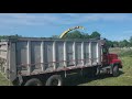 chopping 1st cut haylage belden farmstand