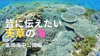 皆に伝えたい天草の海〜富岡海中公園編〜