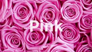 Rose Color Meanings