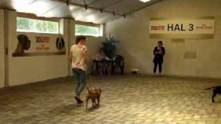 ffd 2010.avi
