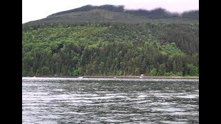 Woman Runs Into A Bigfoot Near Quilcene, Washington