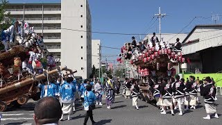 令和元年5月4日 第32回本山だんじりパレード前　中野 深江 田中 岡本 森