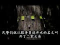 【风骚淫案】湖南8.29案｜真实故事｜绝密档案｜奇案｜悬疑推理｜奇闻观察｜离奇案件｜内幕｜案件