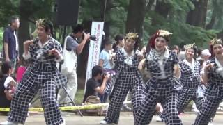 東京よさこい　なな丸隊・よさこい光が丘・2016年7月17日。