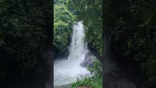 Thirikakkayam Waterfall , Vilangad, Kozhikode