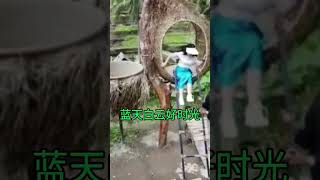 蓝天白云[庄学忠], 经典歌曲, 怀旧老歌