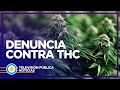 Denuncia contra la revista THC