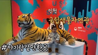 겨울에 아기랑 갈만한곳 - 인천 국립생물자연관