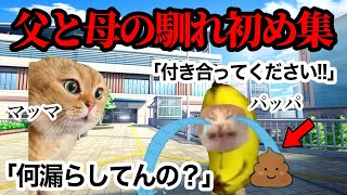 両親の衝撃すぎる出会いを振り返ってみたwww 【総編集】#猫ミーム #猫マニ