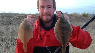 Beach Fishing For Flatfish -  Dab Rigs, Tips & Tactics