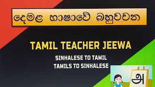 Second Language | Tamil | Plural words | ඒක වචන | බහුවචන | දෙමළ | දෙවන බස