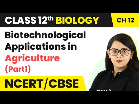 Biotechnology Applications in Agriculture (Part 1) Class 12 Biology Ch 12 NCERT/NEET (2022-23)