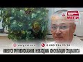 Урологические заболевания диагностика и лечение. Гидроцеле