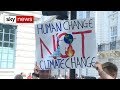 The Amazon fires: Why it matters
