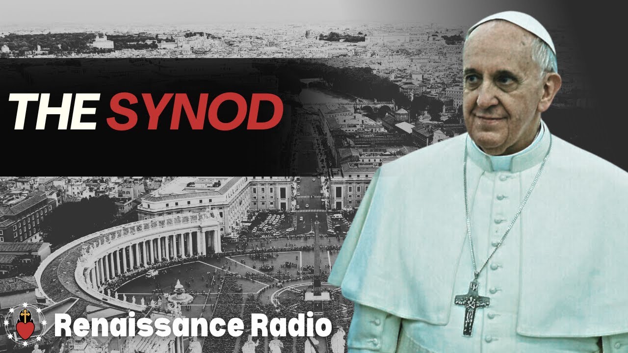 Should We Be Worried About The Synod On Synodality Youtube