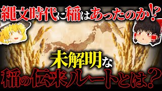 【古代日本の謎】縄文時代に稲はあったのか⁉️【ゆっくり解説】