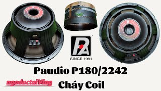 Cách Sửa Chữa Loa Sub 50 Paudio P180/2242 Cháy Coil 31/12/2022