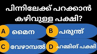 പിന്നിലേക്ക് പറക്കാൻ കഴിവുള്ള പക്ഷി..? Malayalam quiz | GK