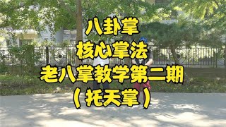 【八卦掌】老八掌教学第二期——托天掌！