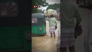 টানা বৃষ্টি-পাহাড়ি ঢলে শেরপুরে হঠাৎ বন্যা! #sherpur #flood #rain #somoytv #shorts #reels #banglanews