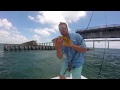 Florida Keys Fishing: Seven Mile Bridge Snapper