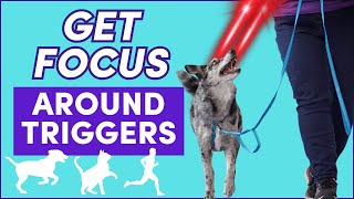 The BEST FIX for REACTIVE, Nervous & DISTRACTED Dogs! (Engage/Disengage)