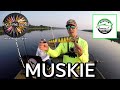 Muskie Fishing The Saint John River New Brunswick-Underwater Footage! #fishing #fish #fishingvideo