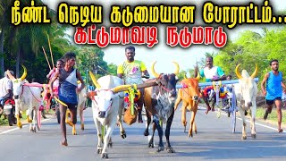 கட்டுமாவடி நடுமாடு - பந்தயம் 01.06.2023