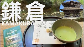 【全国旅】鎌倉めぐり【KAMAKURA】｜Let's enjoy Japan‼