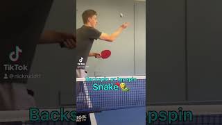 SNAKE Serve 🐍🏓🔥 This serve is unreturnable 🤔👀 #tabletennis #spin #pingpong #serve #tutorial