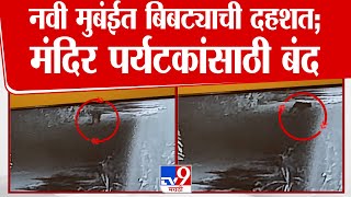 Navi Mumbai मध्ये बिबट्याची दहशत; मंदिर पर्यटकांसाठी बंद | Bibtya