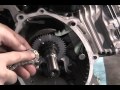 Subaru-Robin EX17 Timing+&+Chain+Installation+on+EX+engines 正時齒輪與鏈條安裝