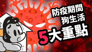 狗與鹿 ｜防疫期間狗狗生活的5大重點  | 一招搞定100%消毒