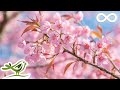 10 Hours Of Relaxing Music Sleep Music Soothing Piano Music Sleeping Music