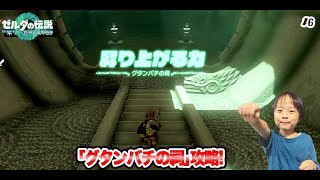 【ゼルダの伝説】ティアーズオブザキングダム　｢#6 グダンバチの祠攻略! ｣