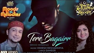 Tere Bagairr (Jiyenge kaise tere bin oh jaana) | lyrics video