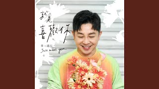 就是喜歡你 (VBL系列《絕對佔領》片頭曲)