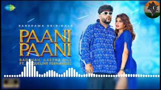 PAANI PAANI (Remix) - Bollywood 2021 Mix