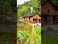 Village Life | Beautiful Simple Village Life | Farming Life | Farming Videos | Short Videos