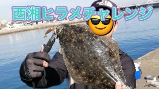 西湘ヒラメ！釣り方、狙い方の話