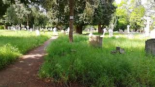 St Peter's Graveyard, Frimley - Looking towards the Church