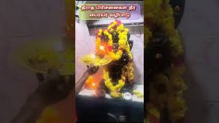 தீராத பிரிசனைகள் தீர பைரவர் வழிபாடு