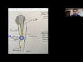 e200 true it band syndrome vs pseudo itbs