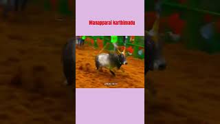 Manapparai Karthik madu #jallikattu2025 #trending #viralvideo #jallikattu